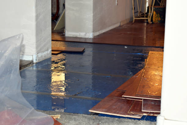 Professional Basement Flood Cleanup technician working in Sloatsburg, NY